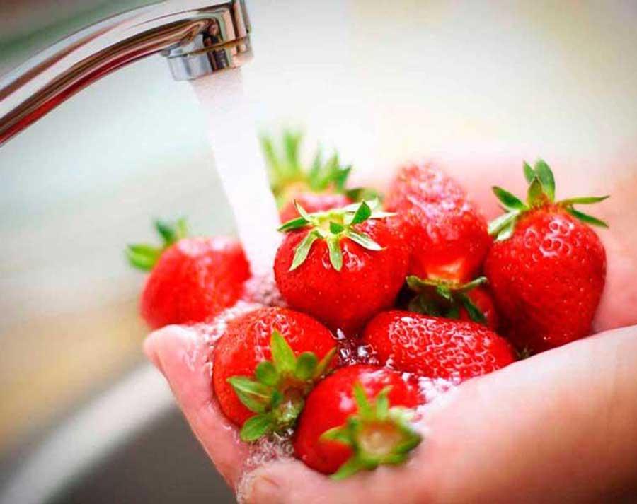 Rinsing strawberries in a sink